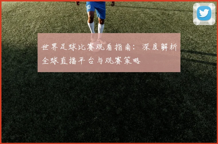 世界足球比赛观看指南：深度解析全球直播平台与观赛策略