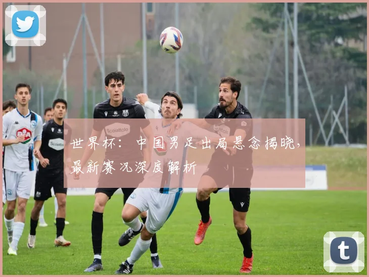 世界杯：中国男足出局悬念揭晓，最新赛况深度解析